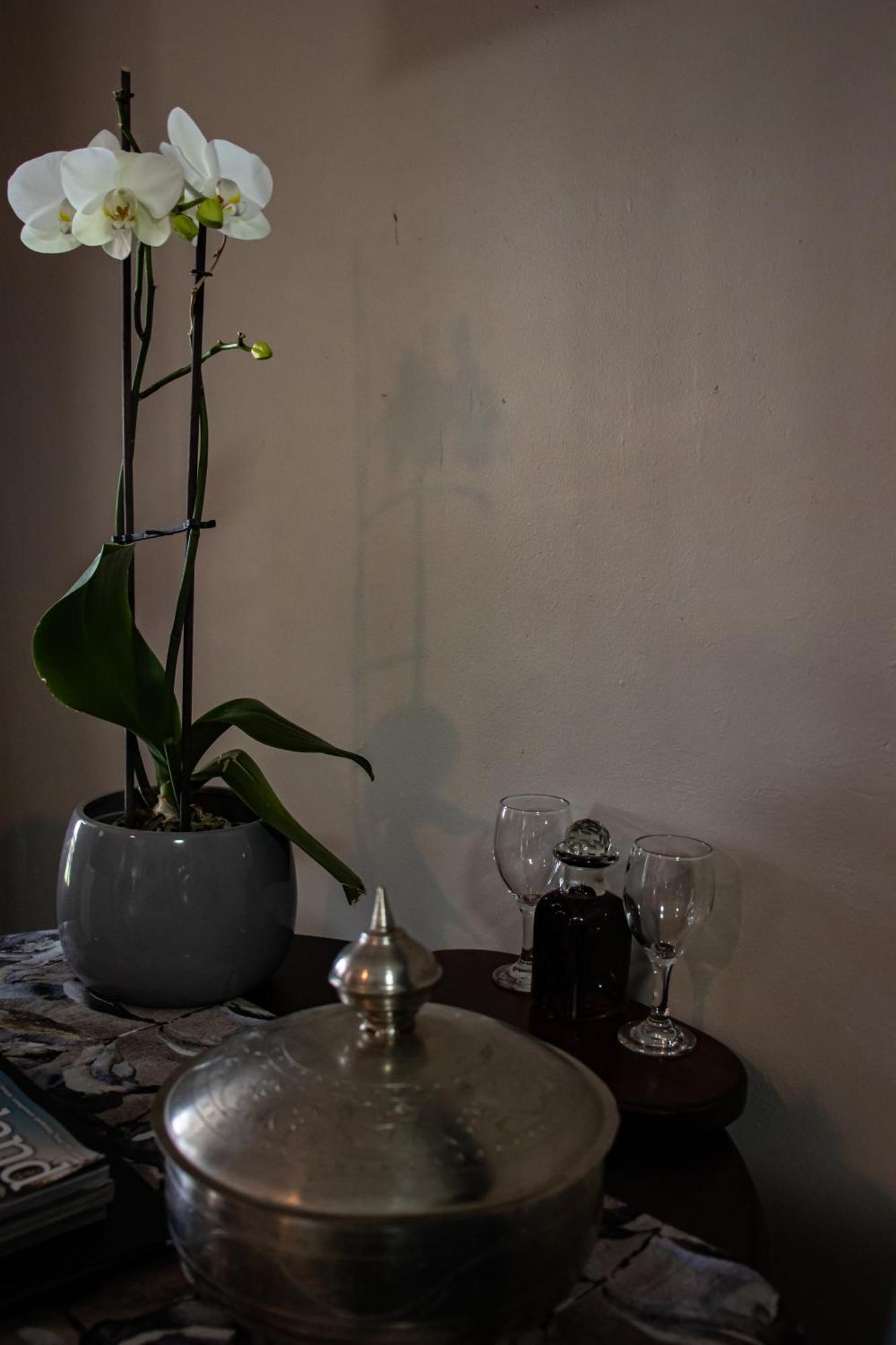 Appartement Drakensview Self Catering à Winterton Extérieur photo